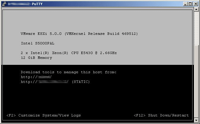Консоль управления VMware ESXi - DCUI