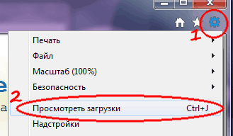 Сервис -> Просмотреть загрузки